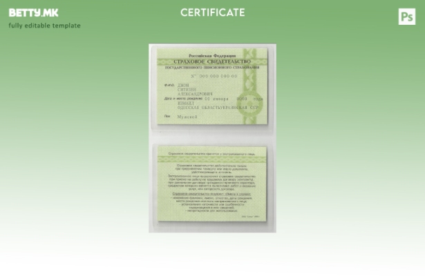 модерен стил Русија Сертификат за осигурување (COI) Cтроховое свидетельство шабл